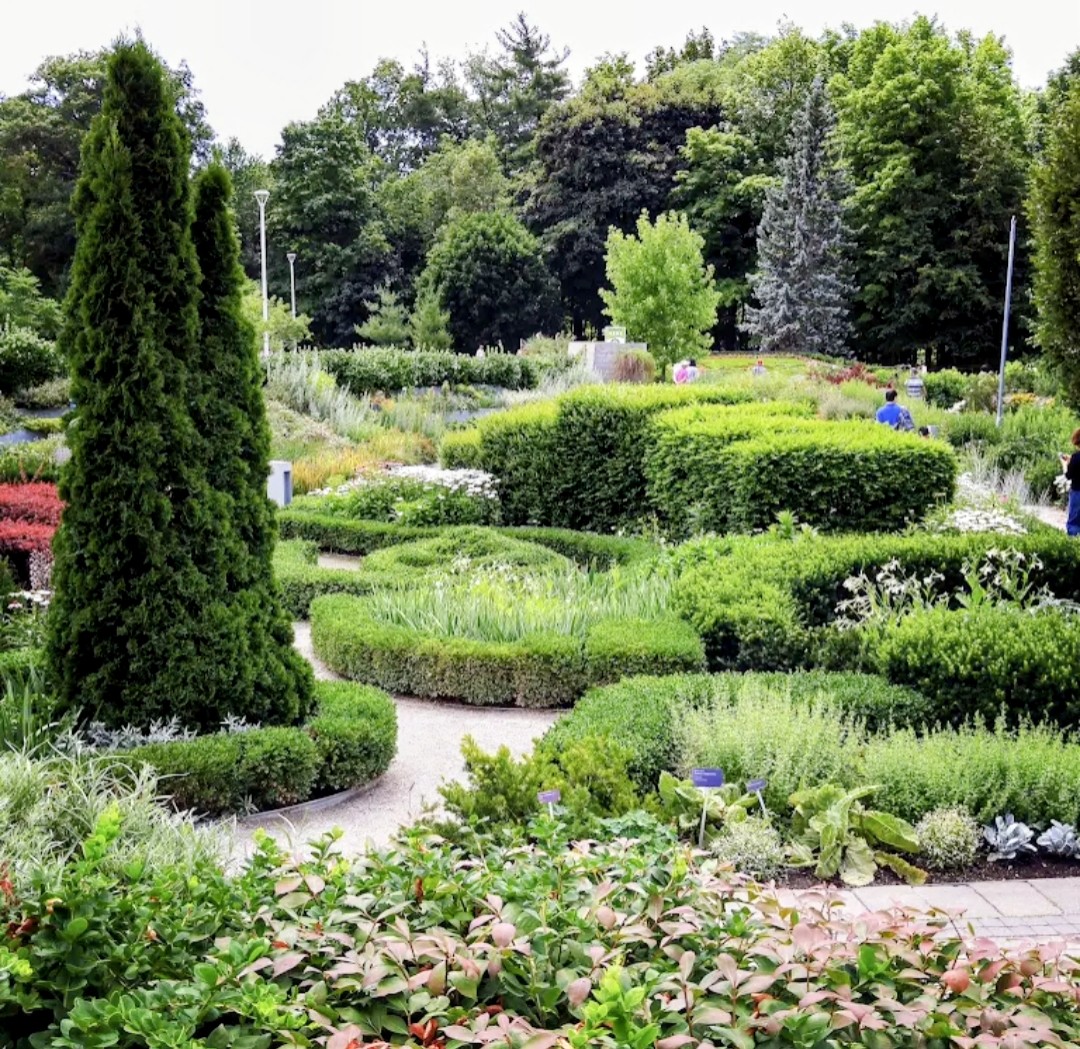 Bridle Path-Sunnybrook-York Mills