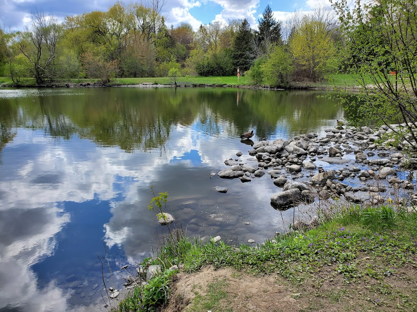 Concord West