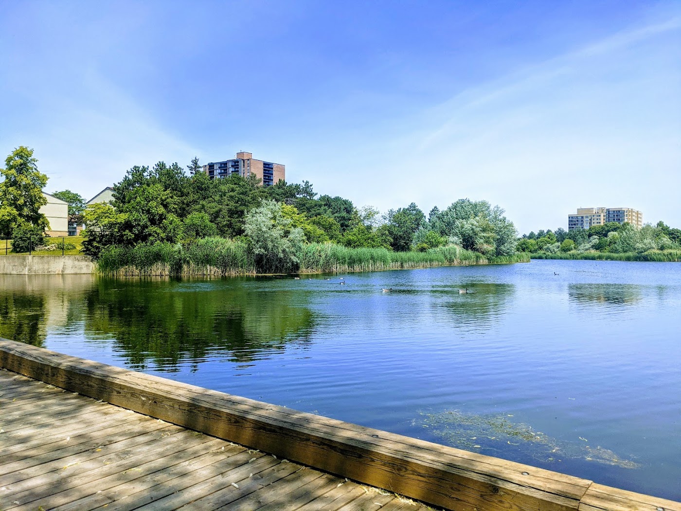 Meadowvale