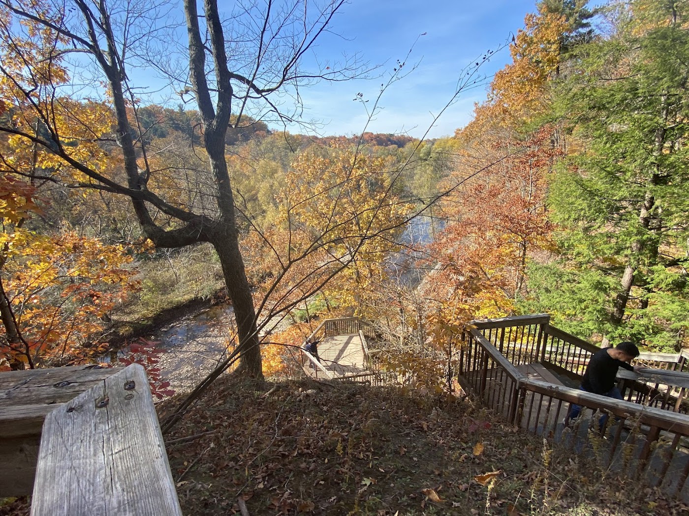 River Oaks